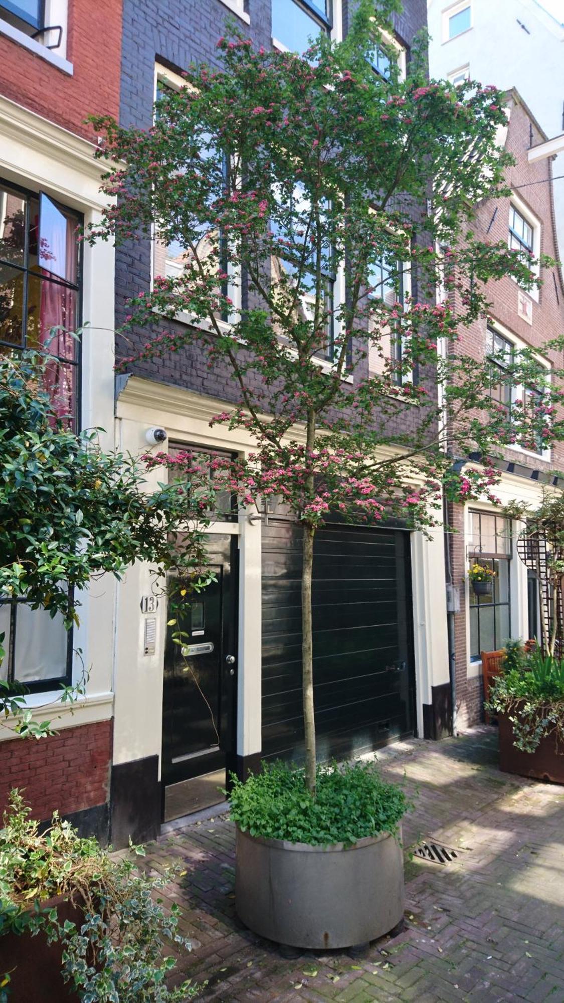 Huis Roomolen Amsterdam Bagian luar foto